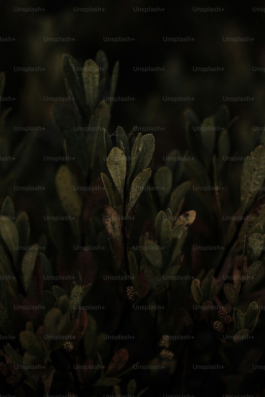 https://img0.utuku.imgcdc.com/640x0/news/20250905/35f2e5a6-b8ee-4740-83e8-aecfa5208e9c.jpg